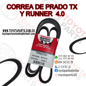 CORREA DE PRADO TX Y RUNNER 4.0
